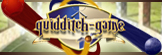 Quidditch-game
