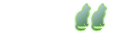 flaneu(se)r flaneu(se)r
