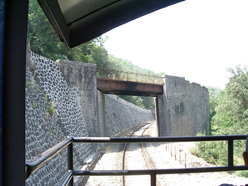 imgp0210.jpg