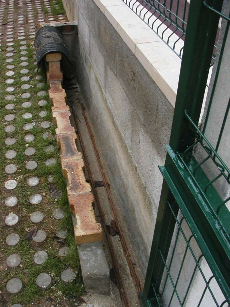 p1010911.jpg