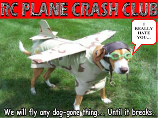 rc airplane crash copy