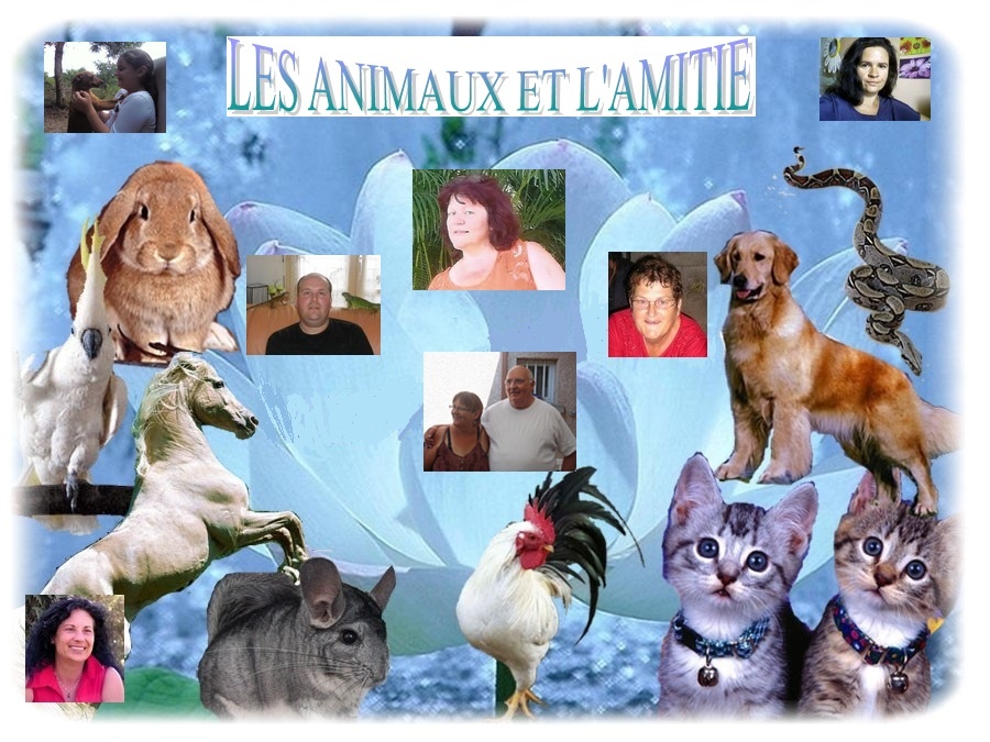 LES ANIMAUX ET L'AMITIE