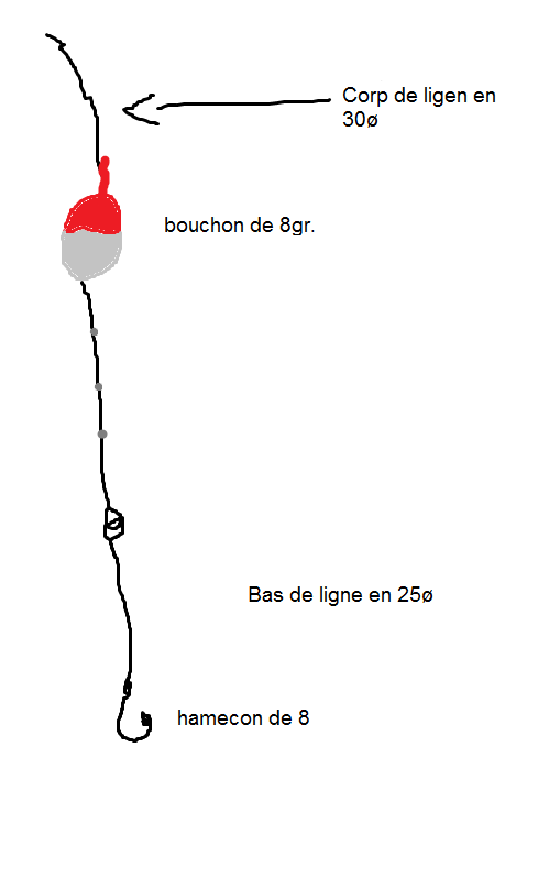 Zoueva les clés la pêche
