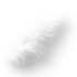 Neue Beiträge