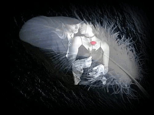 Mon coeur est une plume dans MOMENT DE VIE 8127b110