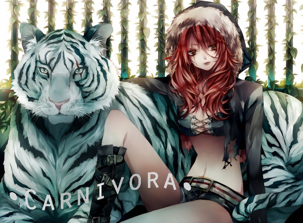 Carnivora-Die Raubtiere