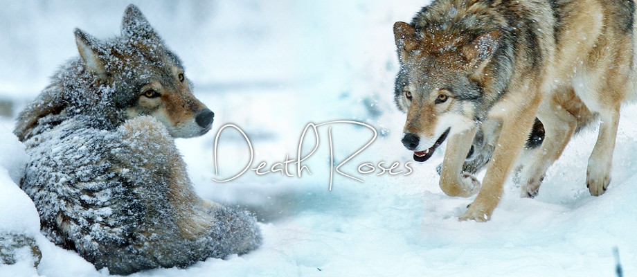 Death Roses