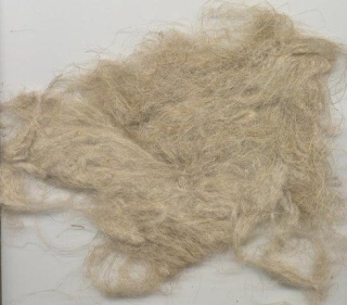 bourre11.jpg