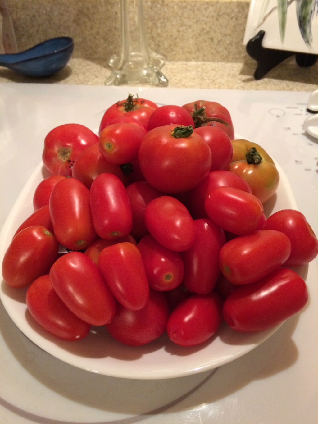 tomato10.jpg