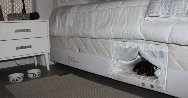 The perfect bed with a dog